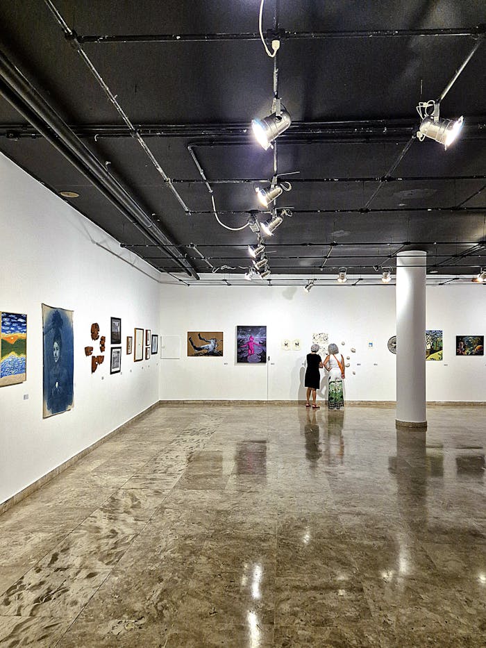 Explore contemporary artworks in this Minas Gerais art gallery, showcasing vibrant exhibits.